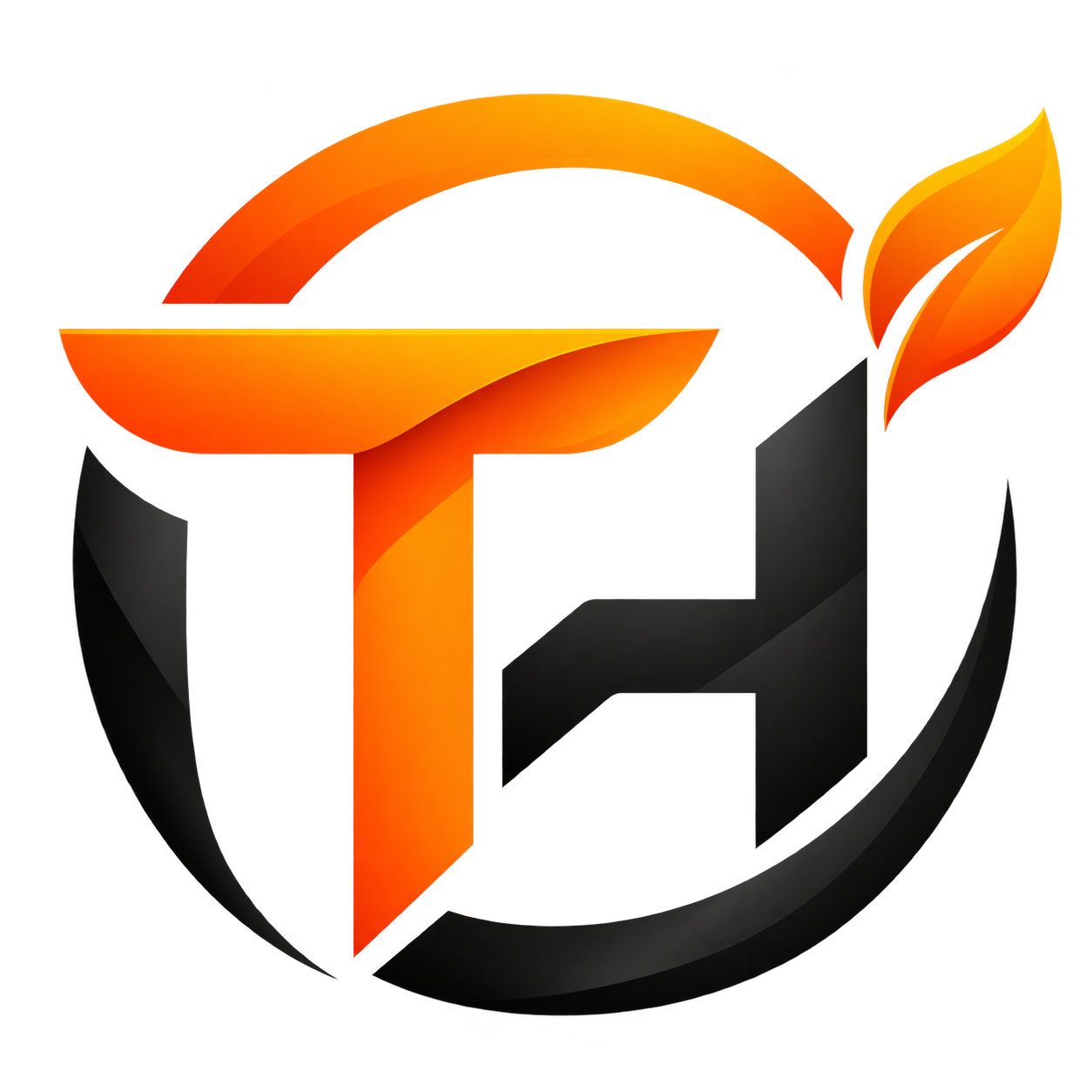 Tangy Hub logo
